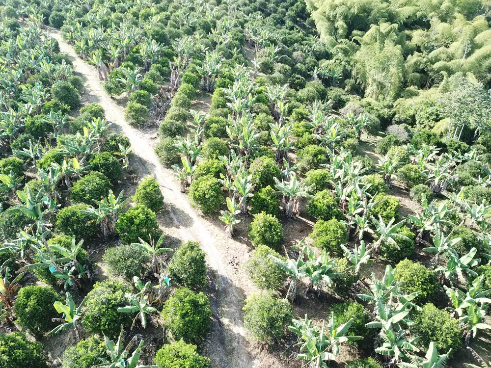Aspersión de agroquímicos y fertilizantes